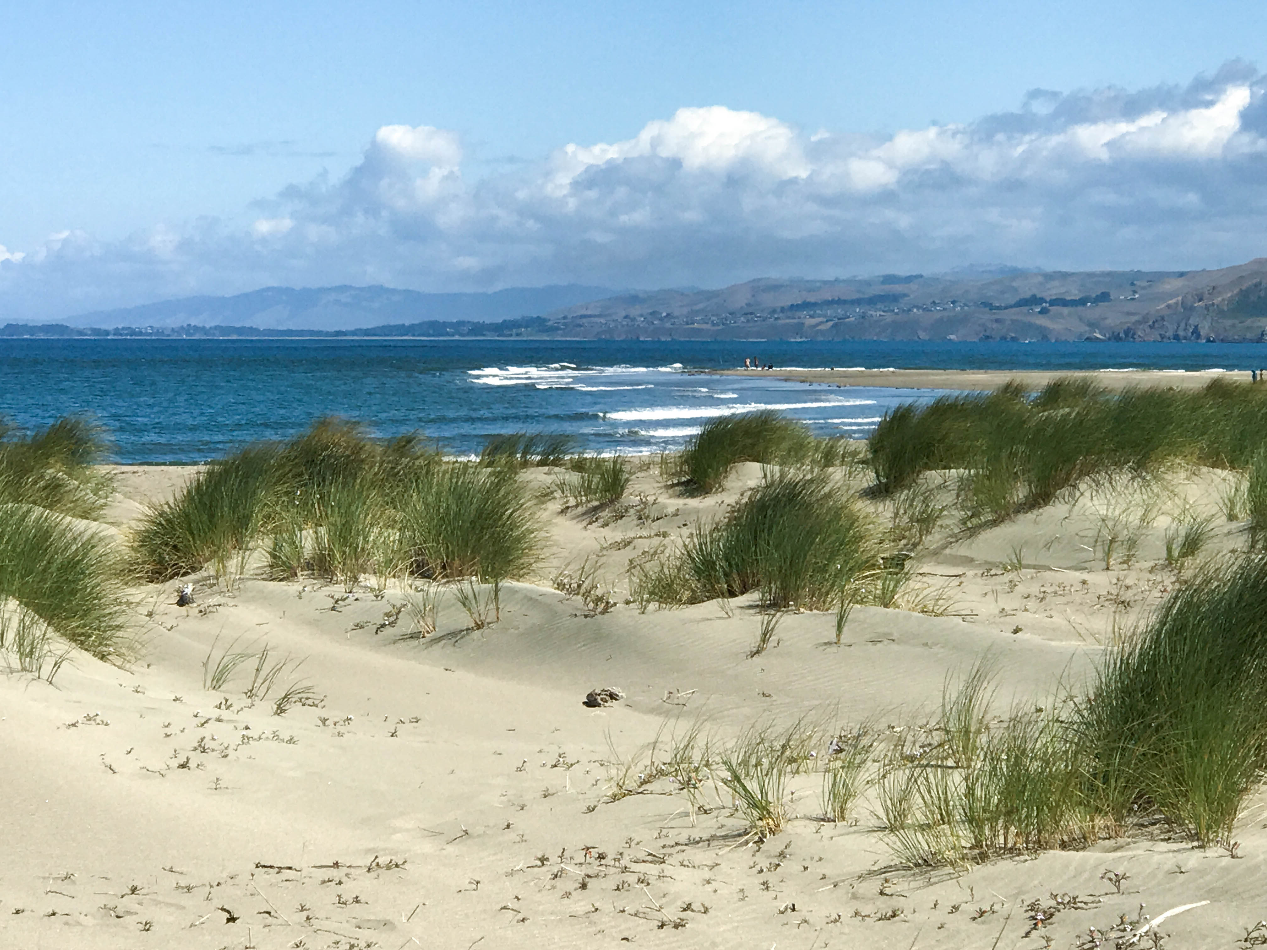 Traveling With Cancer: A One Year Anniversary