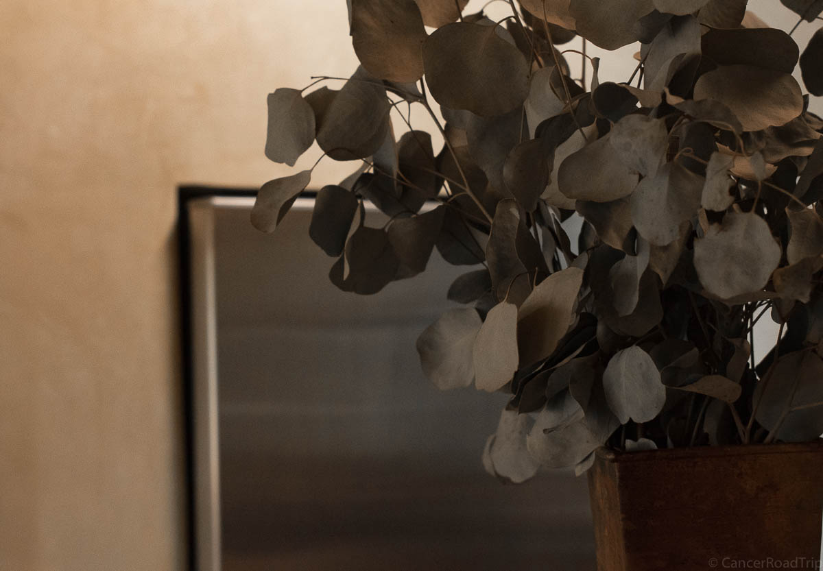 The Blog: Behind The Scenes