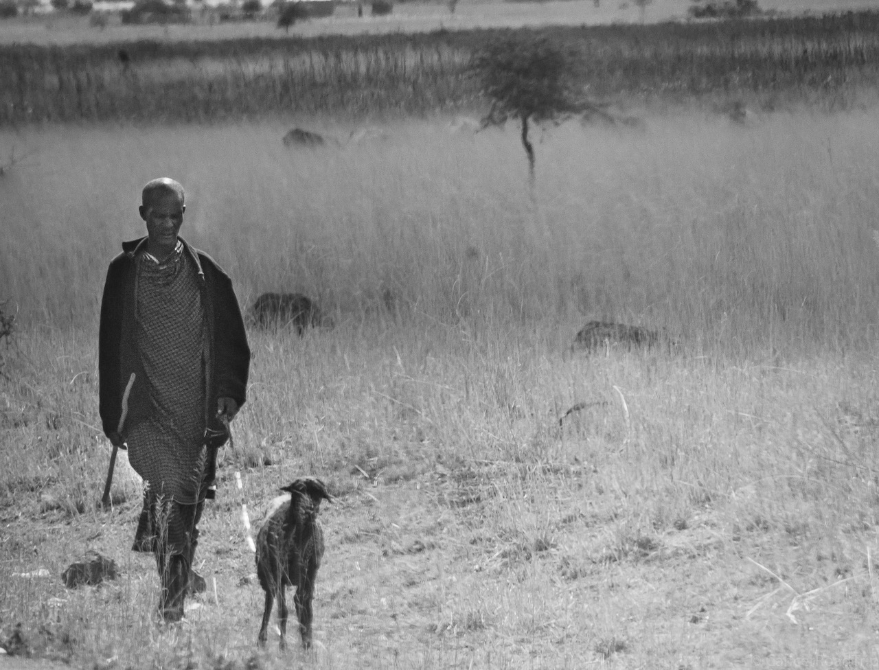 Kili, Culture and Connection
