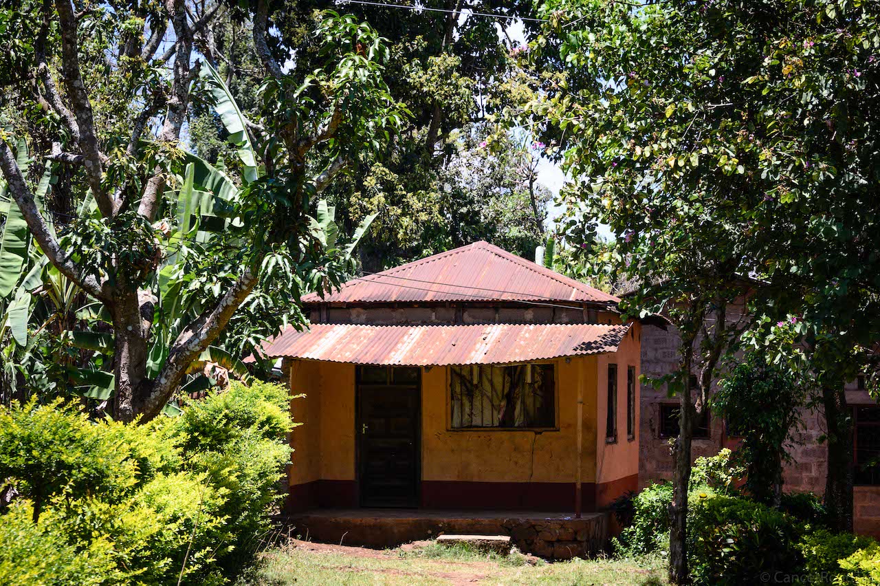 Kili, Culture and Connection