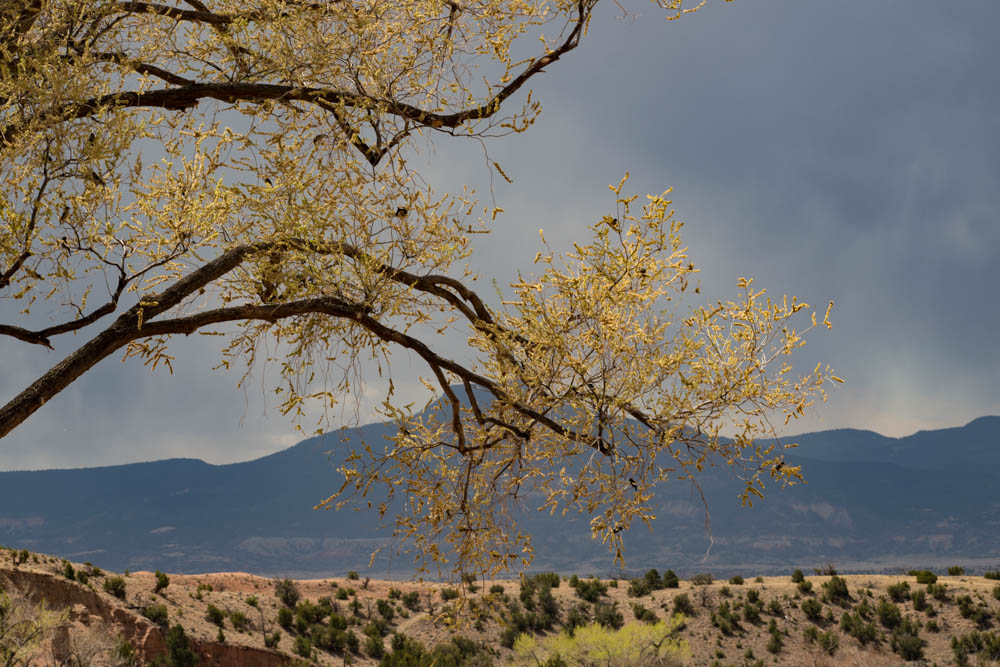Santa Fe