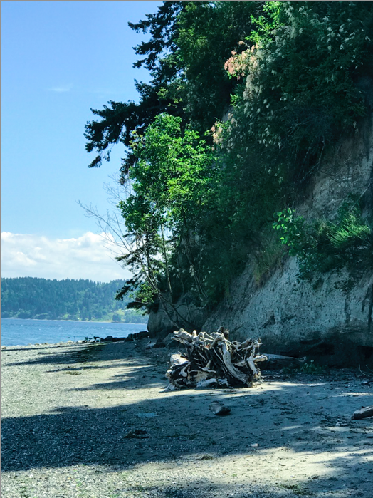 What to Do on Vashon Island? CancerRoadTrip