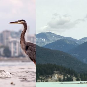 Vancouver to Whistler