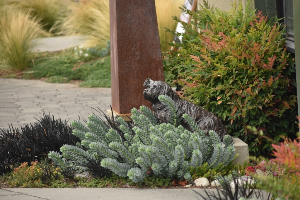 Whidbey Island CancerRoadTrip