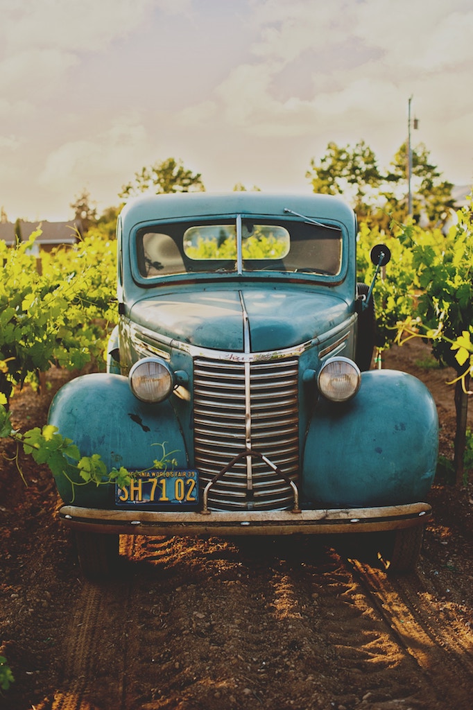 CancerRoadTrip, healing, cancer, Chile and wine