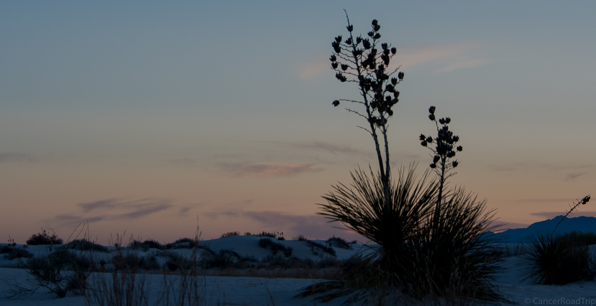 White Sands, New Mexico CancerRoadTrip