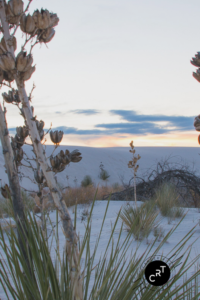 White Sands, CancerRoadTrip