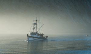 California Central Coast, photography