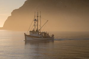 California Central Coast, photography