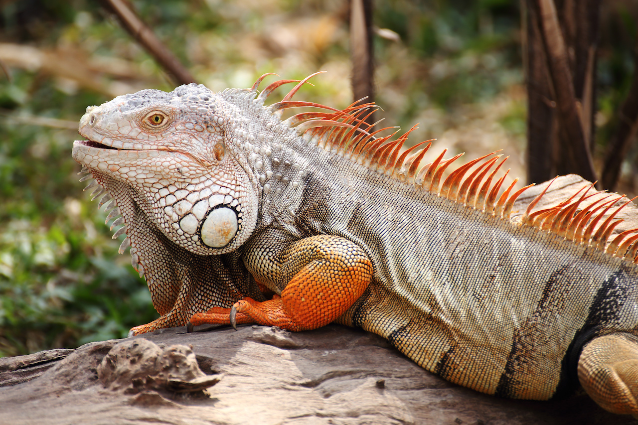 Visiting the Galapagos - CancerRoadTrip