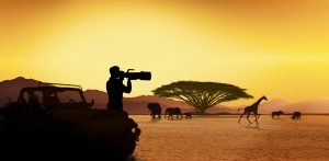 photo gear, tripod, lens, monopod, Nikon, African photo safari