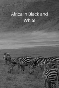 africa in black and white