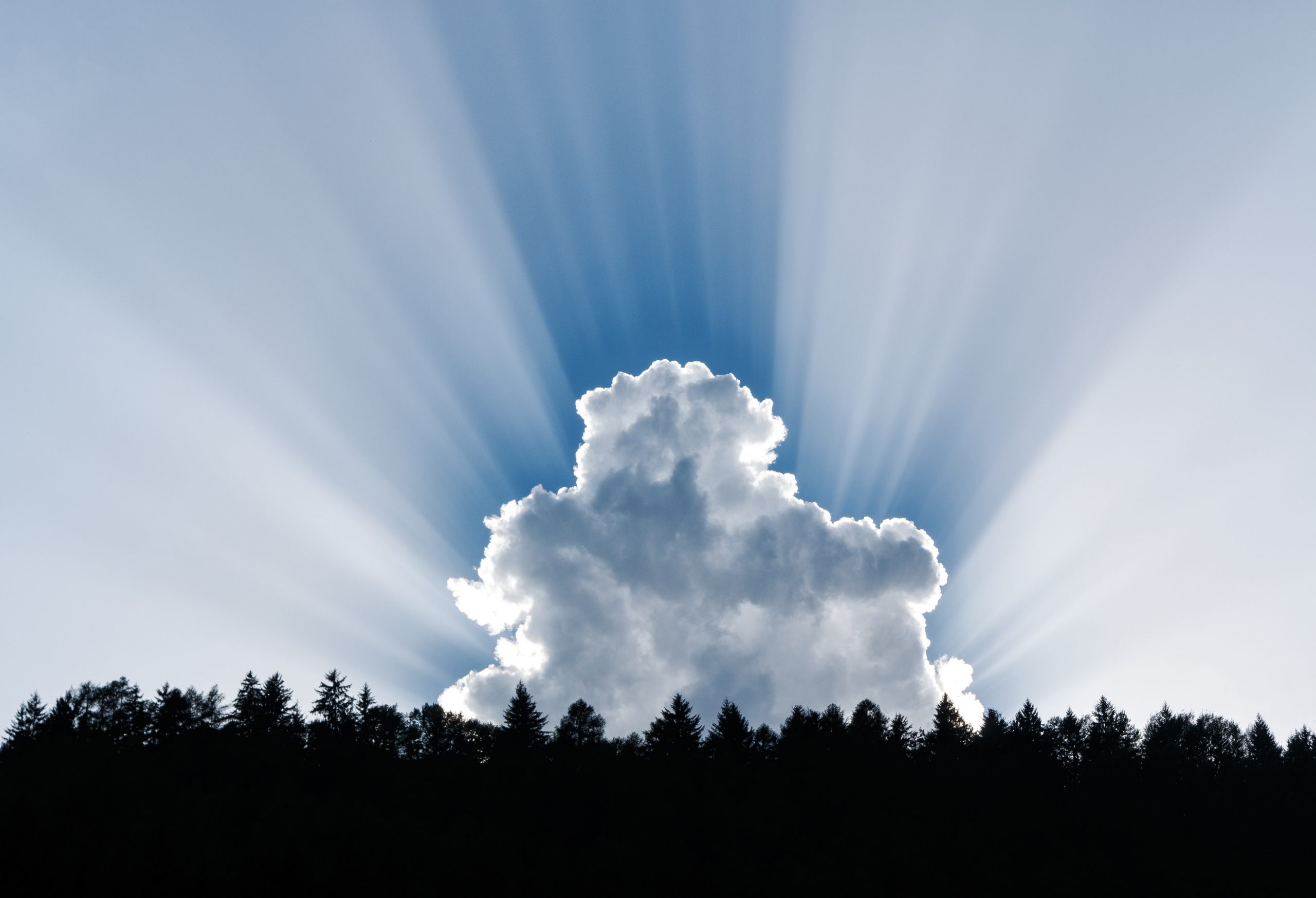 Silver Linings from Corona