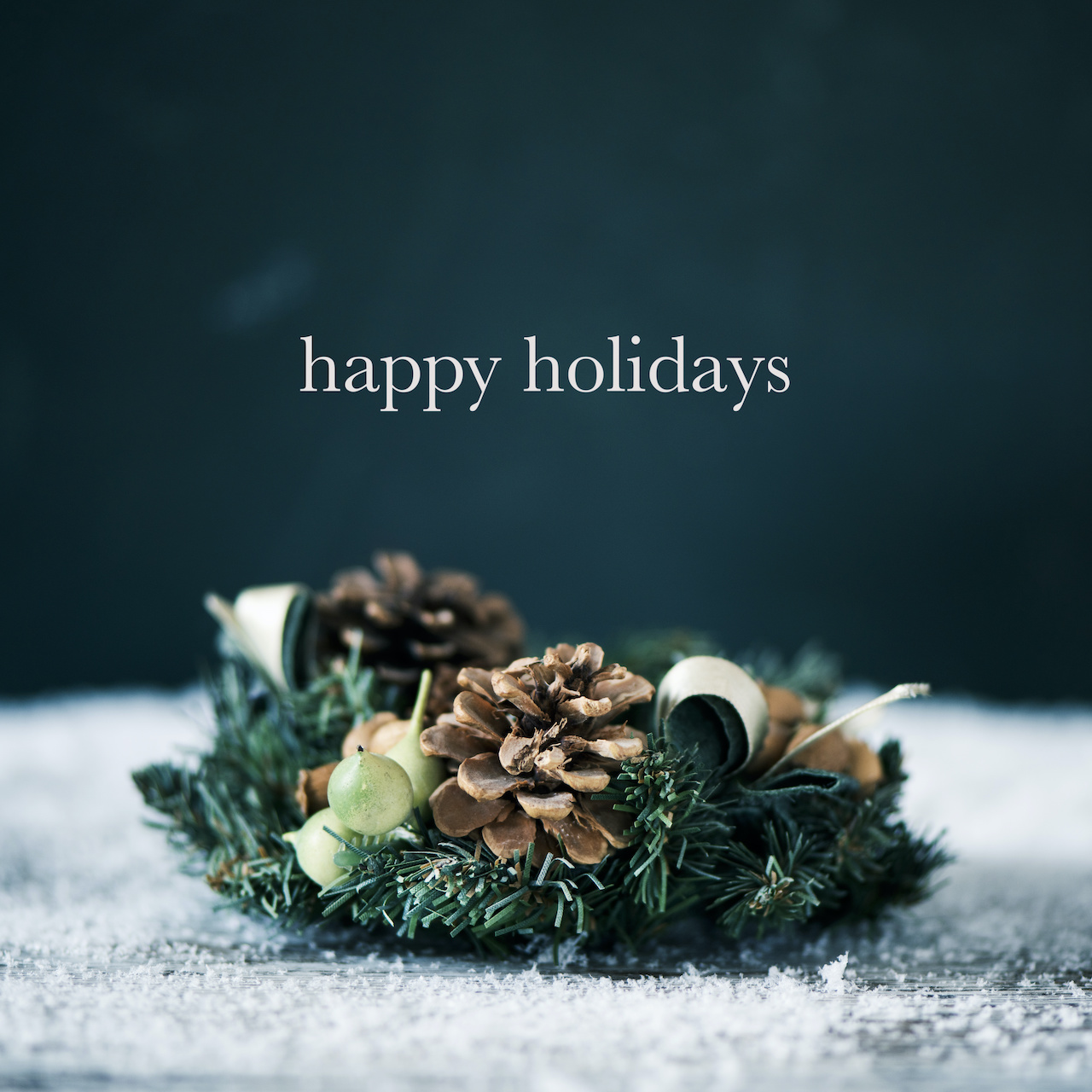 Happy Holidays